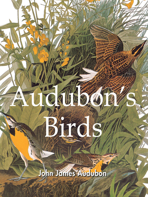 John James Audubon创作的Audubon's Birds作品的详细信息 - 可供借阅
